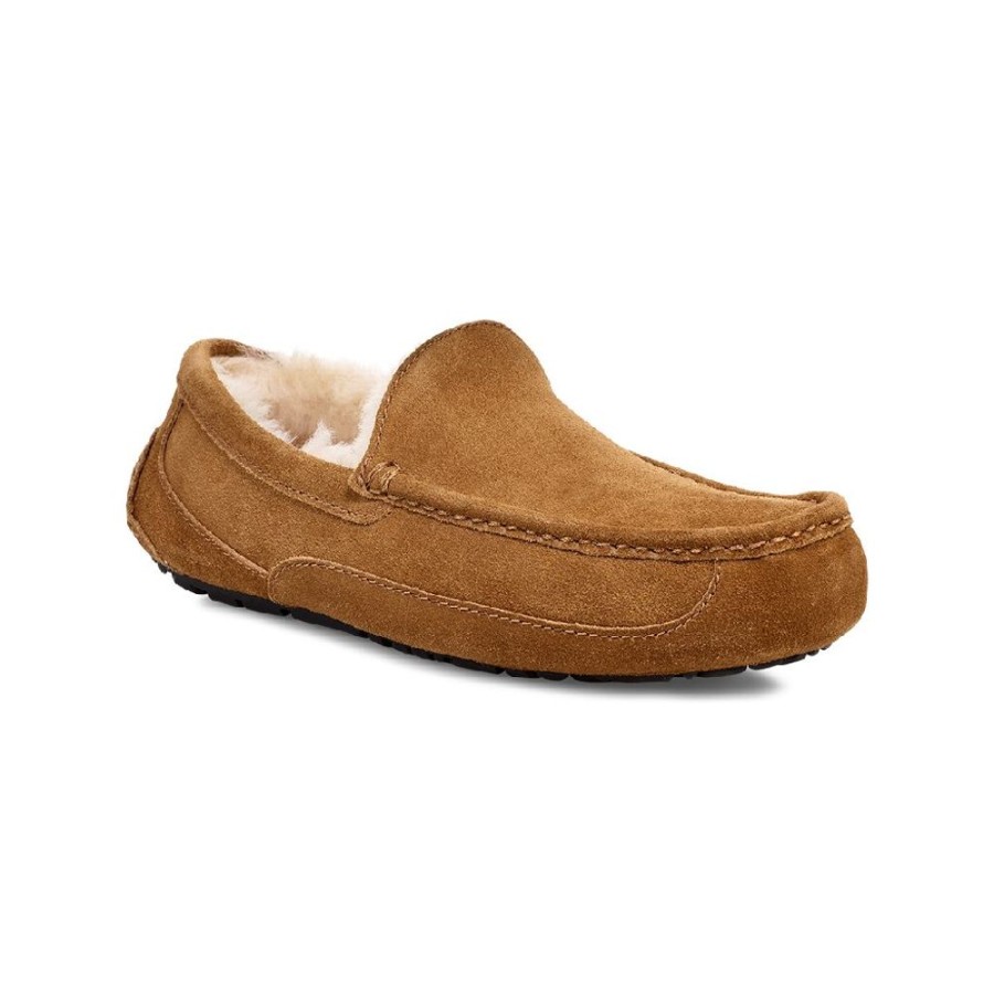 UGG® Ascot Wide Chestnut Men'S | Slippers